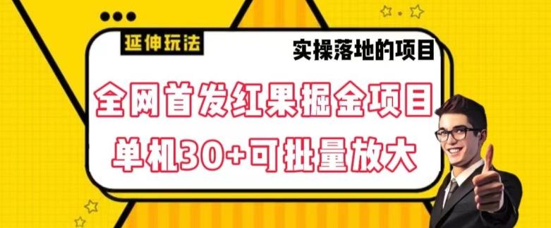 全网首发红果免费短剧掘金项目，单机30+可批量放大【揭秘】-卿云社