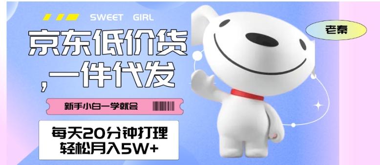 每天20分钟打理京东低价货，一件代发-轻松月入5W＋-卿云社