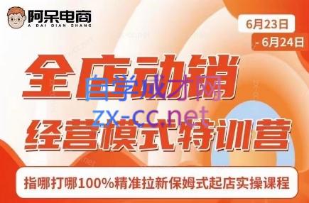 阿呆电商·全店动销经营模式特训营(线下录音+思维导图)-卿云社