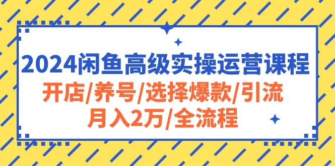 2024闲鱼高级实操运营课程：开店/养号/选择爆款/引流/月入2万/全流程-卿云社