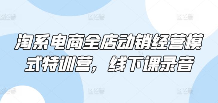 淘系电商全店动销经营模式特训营，线下课录音-卿云社