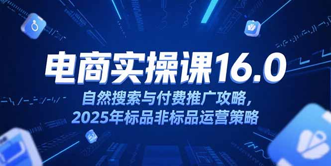 淘宝电商运营课16.0，自然搜索与付费推广攻略，2025年标品非标品运营策略-卿云社