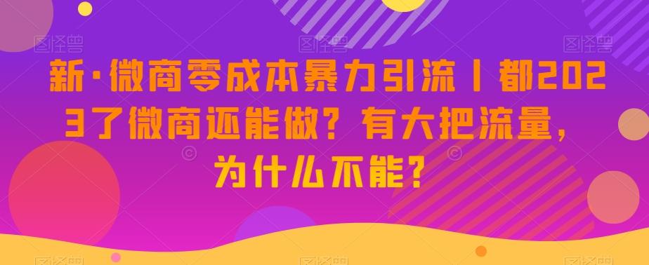 新·微商零成本暴力引流丨都2023了微商还能做？有大把流量，为什么不能？-卿云社