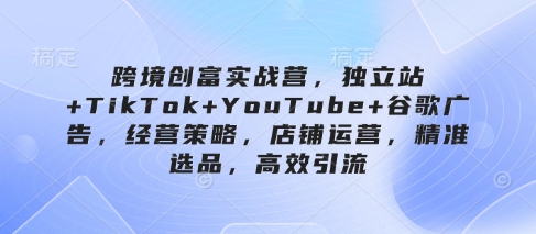 跨境创富实战营，独立站+TikTok+YouTube+谷歌广告，经营策略，店铺运营，精准选品，高效引流-卿云社