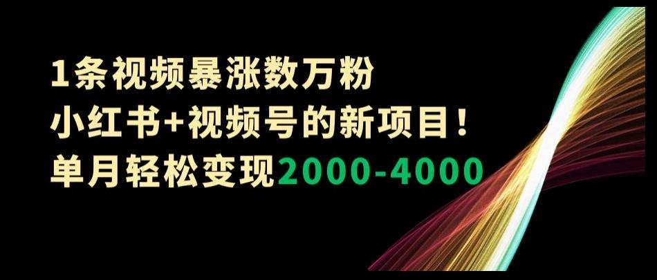 1条视频暴涨数万粉–小红书+视频号的新项目！单月轻松变现2000-4000【揭秘】-卿云社