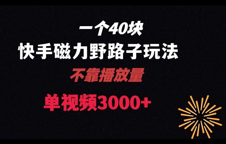 一个40块，快手联合美团磁力新玩法，无视机制野路子玩法，单视频收益4位数【揭秘】-卿云社