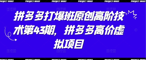 拼多多打爆班原创高阶技术第43期，拼多多高价虚拟项目-卿云社