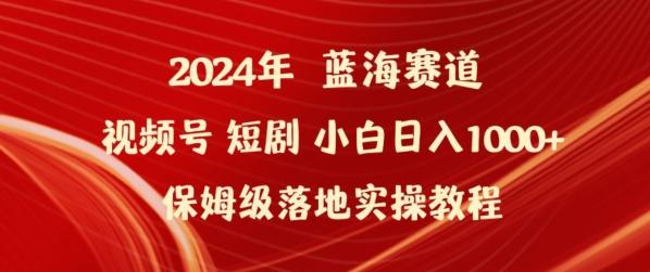 2024年视频号短剧新玩法小白日入1000+保姆级落地实操教程【揭秘】-卿云社