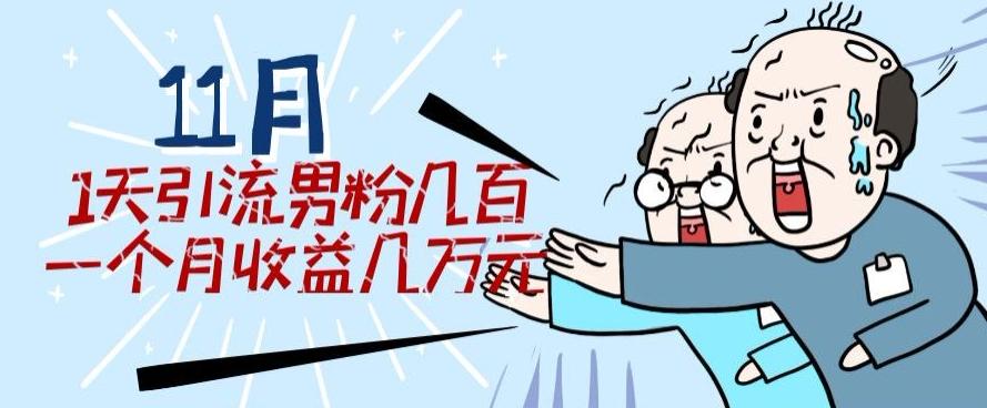 11月最新每天引流男粉300+一个月收益几万元-卿云社