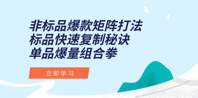 非标品爆款矩阵打法，标品快速复制秘诀，单品爆量组合拳-卿云社