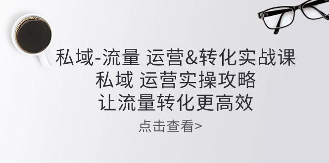 私域-流量 运营&转化实操课：私域 运营实操攻略 让流量转化更高效-卿云社