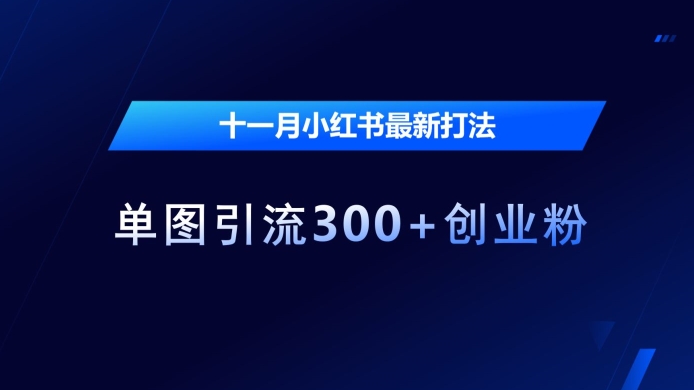 十一月小红书最新打法，单图引流300+创业粉【揭秘】-卿云社