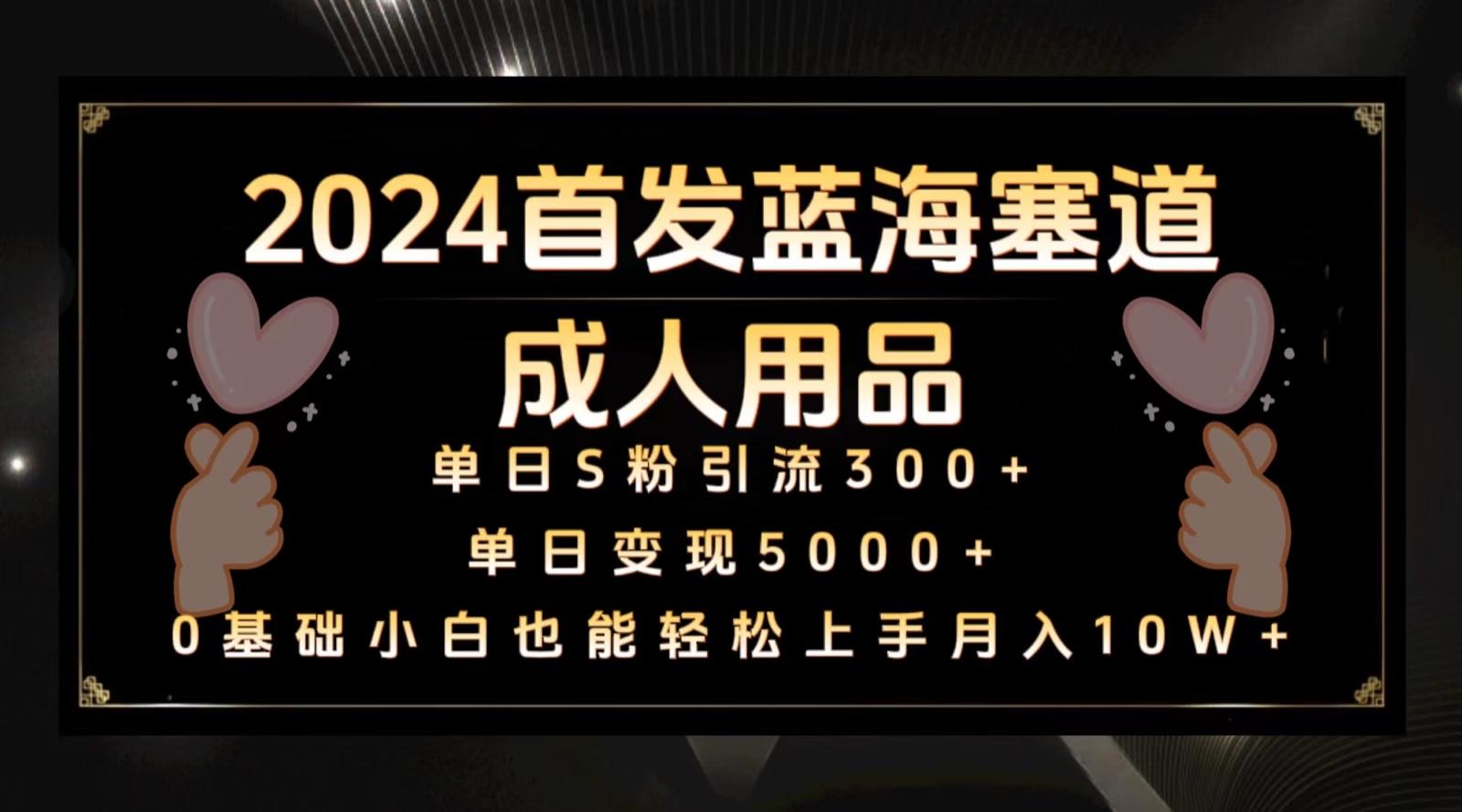 2024首发蓝海塞道成人用品，月入10W+保姆教程-卿云社
