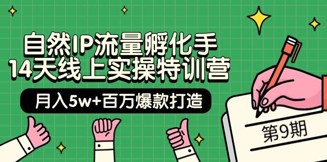 (9881期)自然IP流量孵化手 14天线上实操特训营【第9期】月入5w+百万爆款打造 (74节)-卿云社