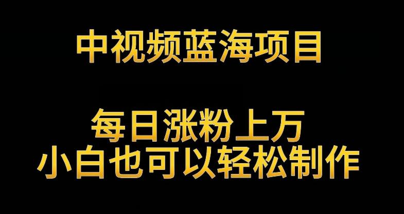 中视频蓝海项目，解读英雄人物生平，每日涨粉上万，小白也可以轻松制作，月入过万不是梦【揭秘】-卿云社