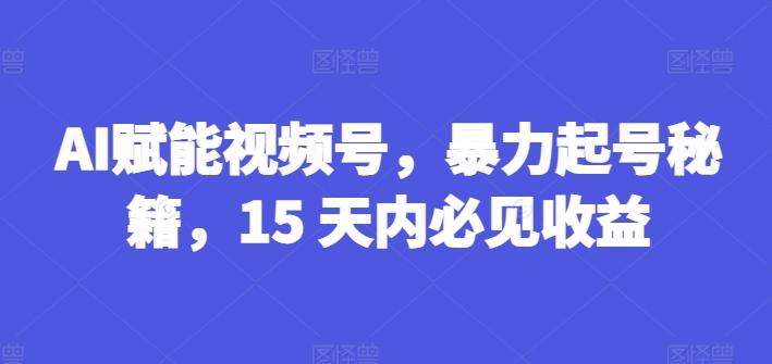AI赋能视频号，暴力起号秘籍，15 天内必见收益【揭秘】-卿云社