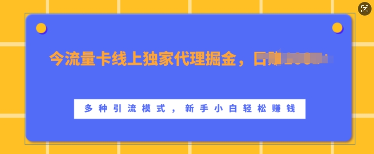 流量卡线上独家代理掘金，日入1k+ ，多种引流模式，新手小白轻松上手【揭秘】-卿云社
