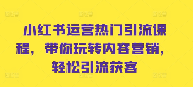 小红书运营热门引流课程，带你玩转内容营销，轻松引流获客-卿云社