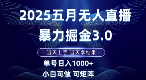 2025五月无人直播暴力掘金3.0，当天上手，当天拿结果，单号日入1k+小白可做可矩阵【揭秘】-卿云社