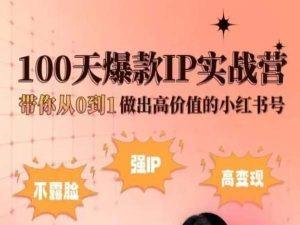 小红书100天爆款IP实战营，带你从0到1做出高价值的小红书号-卿云社