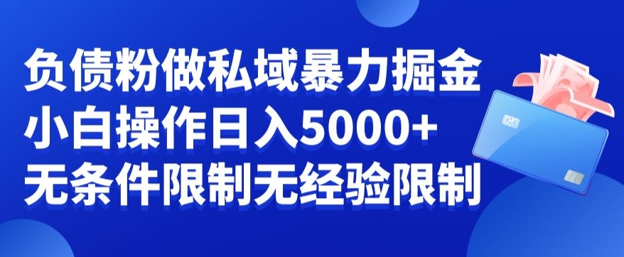 负债粉私域暴力掘金，小白操作入5000，无经验限制，无条件限制【揭秘】-卿云社