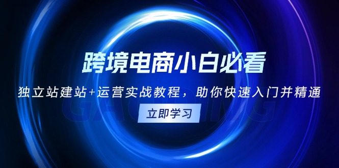 跨境电商小白必看！独立站建站+运营实战教程，助你快速入门并精通-卿云社