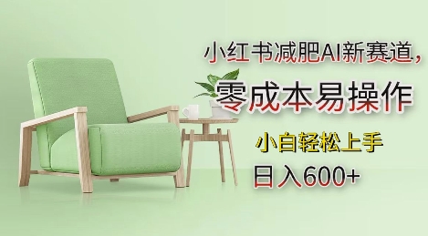 小红书减肥AI新赛道，零成本易操作，日入多张，小白轻松上手【揭秘】-卿云社