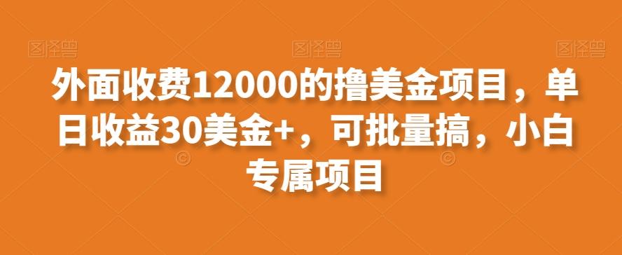 外面收费12000的撸美金项目，单日收益30美金+，可批量搞，小白专属项目-卿云社