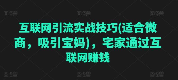 互联网引流实战技巧(适合微商，吸引宝妈)，宅家通过互联网赚钱-卿云社