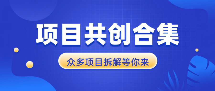 项目共创合集，从0-1全过程拆解，让你迅速找到适合自已的项目-卿云社