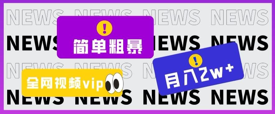 简单粗暴零成本，高回报，全网视频VIP掘金项目，月入2万＋【揭秘】-卿云社