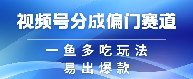 视频号创作者分成计划偏门类目，容易爆流，实拍内容简单易做【揭秘】-卿云社