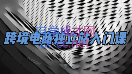 团长·跨境电商独立站入门课(2小时精华)-卿云社