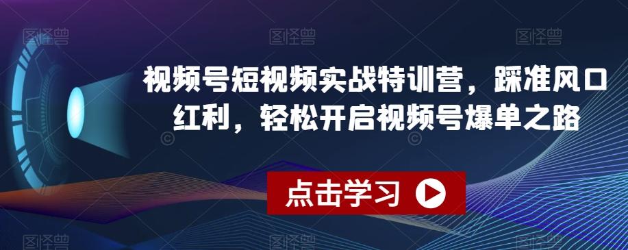 视频号短视频实战特训营，踩准风口红利，轻松开启视频号爆单之路-卿云社