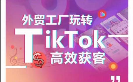 外贸工厂玩转TikTok高效获客，多种引流方式与账号定位技巧，拆解爆款短视频打造成功案例-卿云社