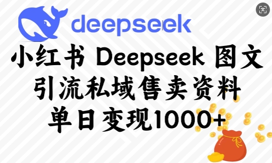 小红书Deepseek图文引流私域售卖资料，单日变现多张-卿云社