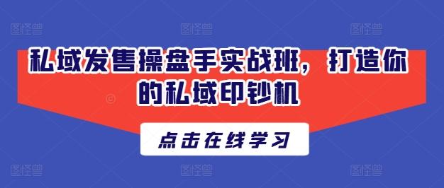 私域发售操盘手实战班，打造你的私域印钞机-卿云社