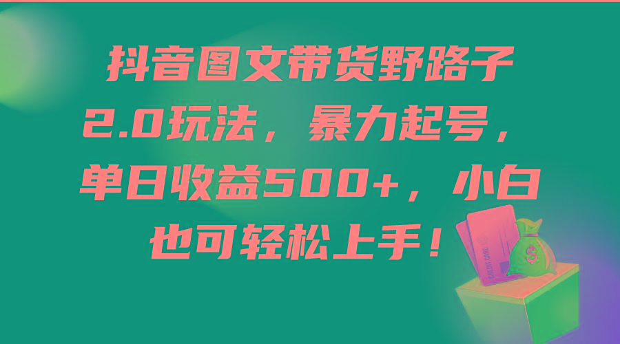 (9790期)抖音图文带货野路子2.0玩法，暴力起号，单日收益500+，小白也可轻松上手！-卿云社