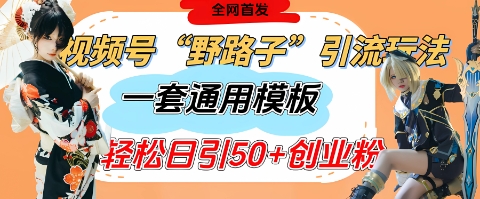视频号“野路子”玩法，评论区疯狂截流，一套模板单日单号引流50+创业粉-卿云社