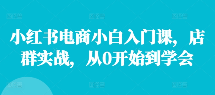 小红书电商小白入门课，店群实战，从0开始到学会-卿云社