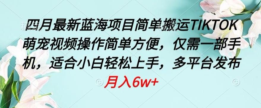 四月最新蓝海项目，简单搬运TIKTOK萌宠视频，操作简单方便，仅需一部手机【揭秘】-卿云社