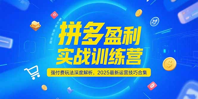 拼多多盈利实战训练营，强付费玩法深度解析，2025运营技巧合集-更新6月-卿云社