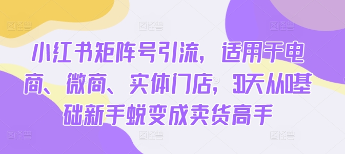 小红书矩阵号引流，适用于电商、微商、实体门店，30天从0基础新手蜕变成卖货高手-卿云社