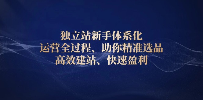 独立站新手体系化 运营全过程，助你精准选品、高效建站、快速盈利-卿云社