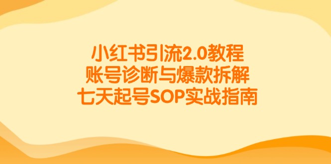 小红书引流2.0教程，账号诊断与爆款拆解，七天起号SOP实战指南-卿云社