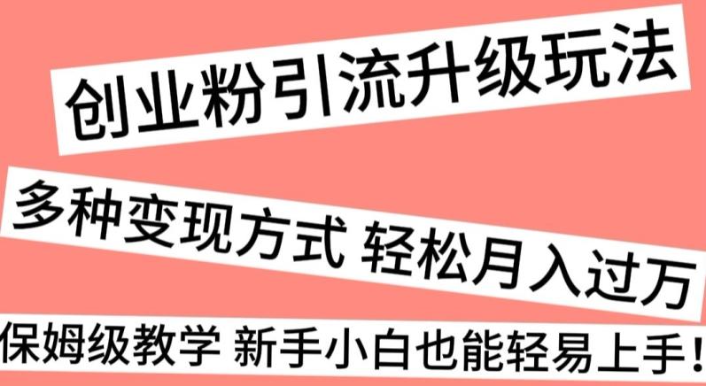 创业粉引流升级玩法，多种变现方式轻松月入过万，保姆级教学新手小白也能轻易上手！-卿云社