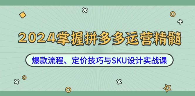 2024掌握拼多多运营精髓：爆款流程、定价技巧与SKU设计实战课-卿云社