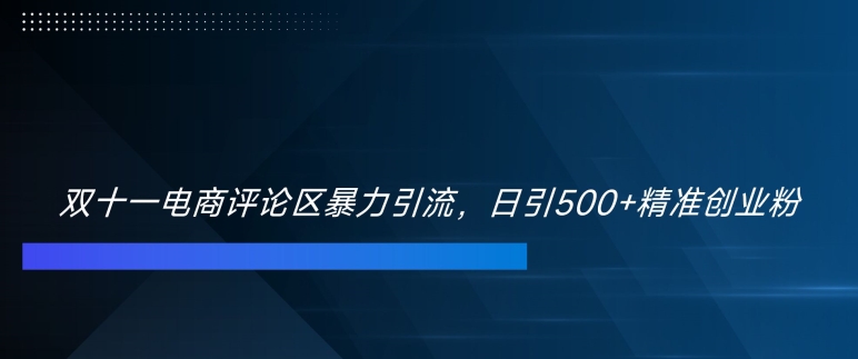 双十一电商评论区暴力引流，日引500+精准创业粉【揭秘】-卿云社