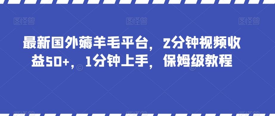 最新国外薅羊毛平台，2分钟视频收益50+，1分钟上手，保姆级教程【揭秘】-卿云社