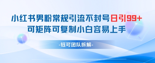 小红书男粉常规引流不封号日引99+变现简单 可矩阵可复制小白容易上手-卿云社